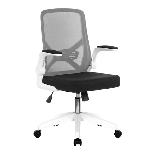 Nautilus oyster medium - medium, back