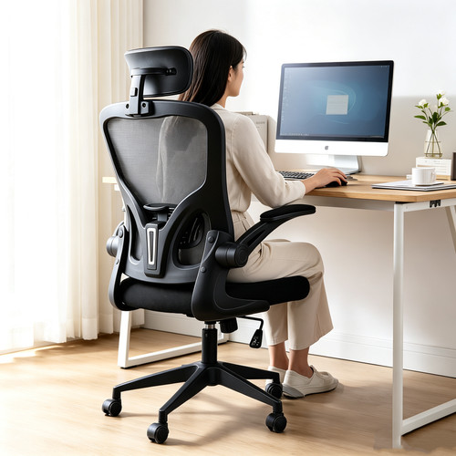 Ergonomic mesh office - office, chair