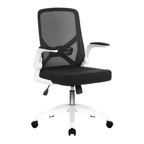 Nautilus oyster medium back - nautilus,