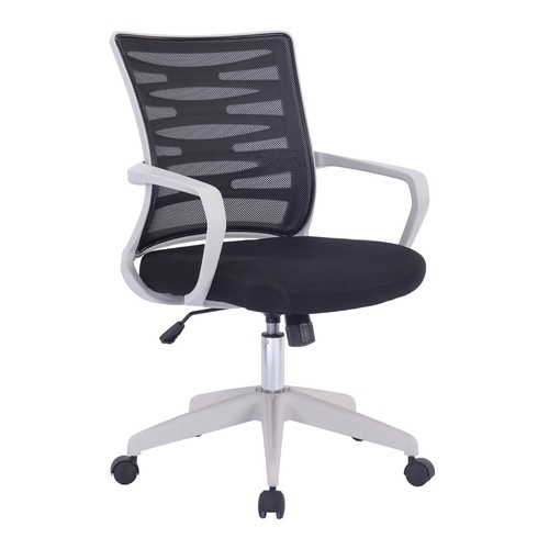 Nautilus spyro medium - medium, back