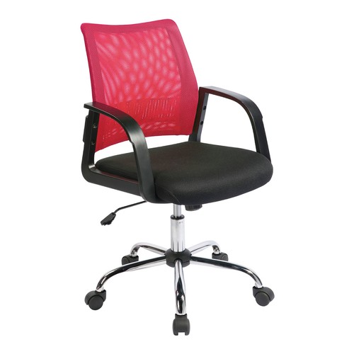 Nautilus calypso medium back - medium,