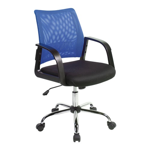 Nautilus calypso medium - calypso, back