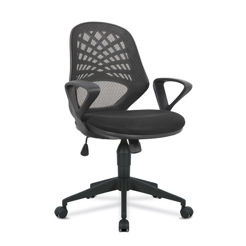 Nautilus lattice medium - lattice, back
