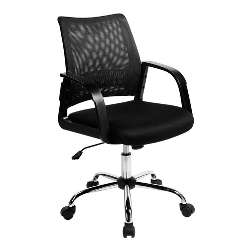 Nautilus calypso medium back - calypso,