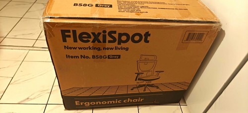 Flexispot bs8g ergonomic grey - ergonomic,